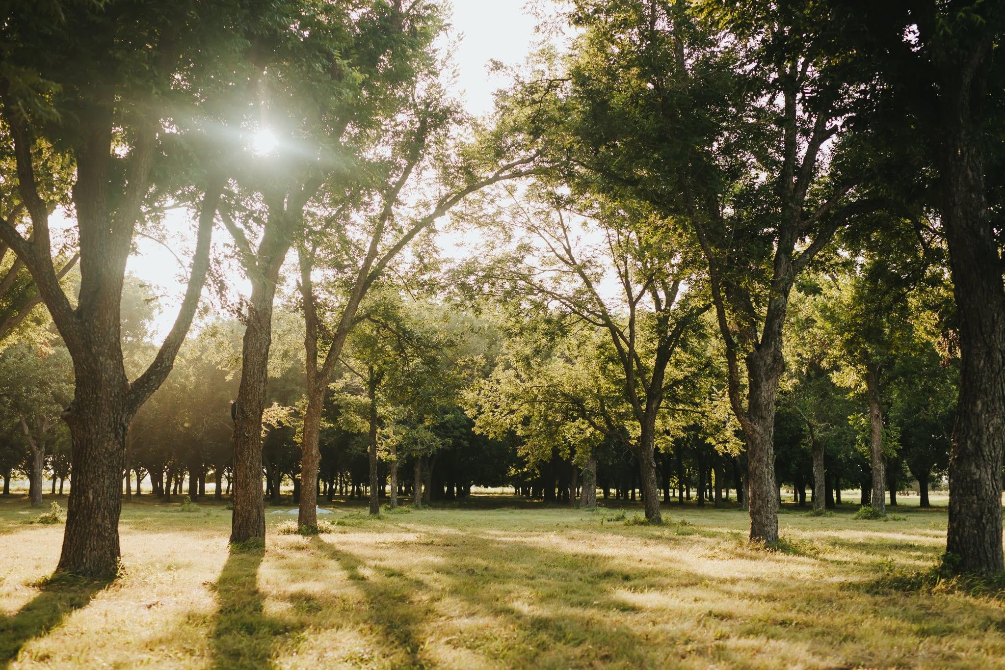 8323 E State Highway 29, Georgetown, TX 78626