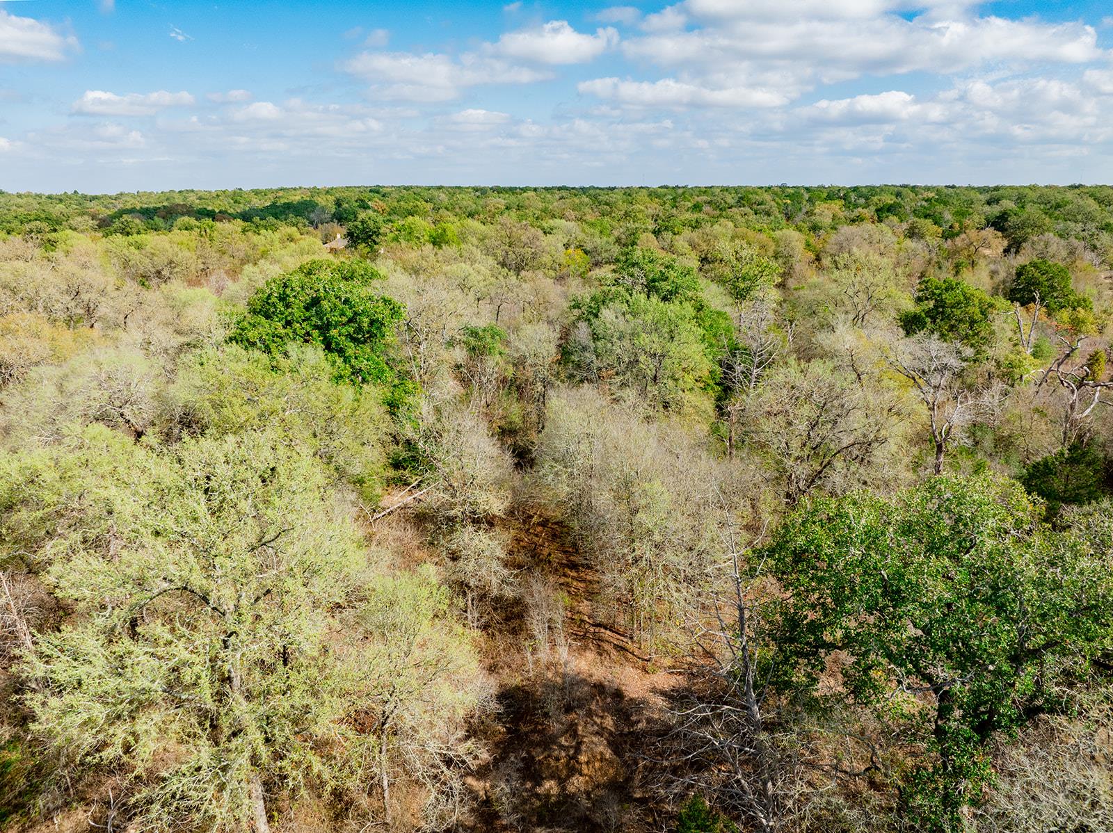 164 Bull Run Rd, Cedar Creek, TX 78612