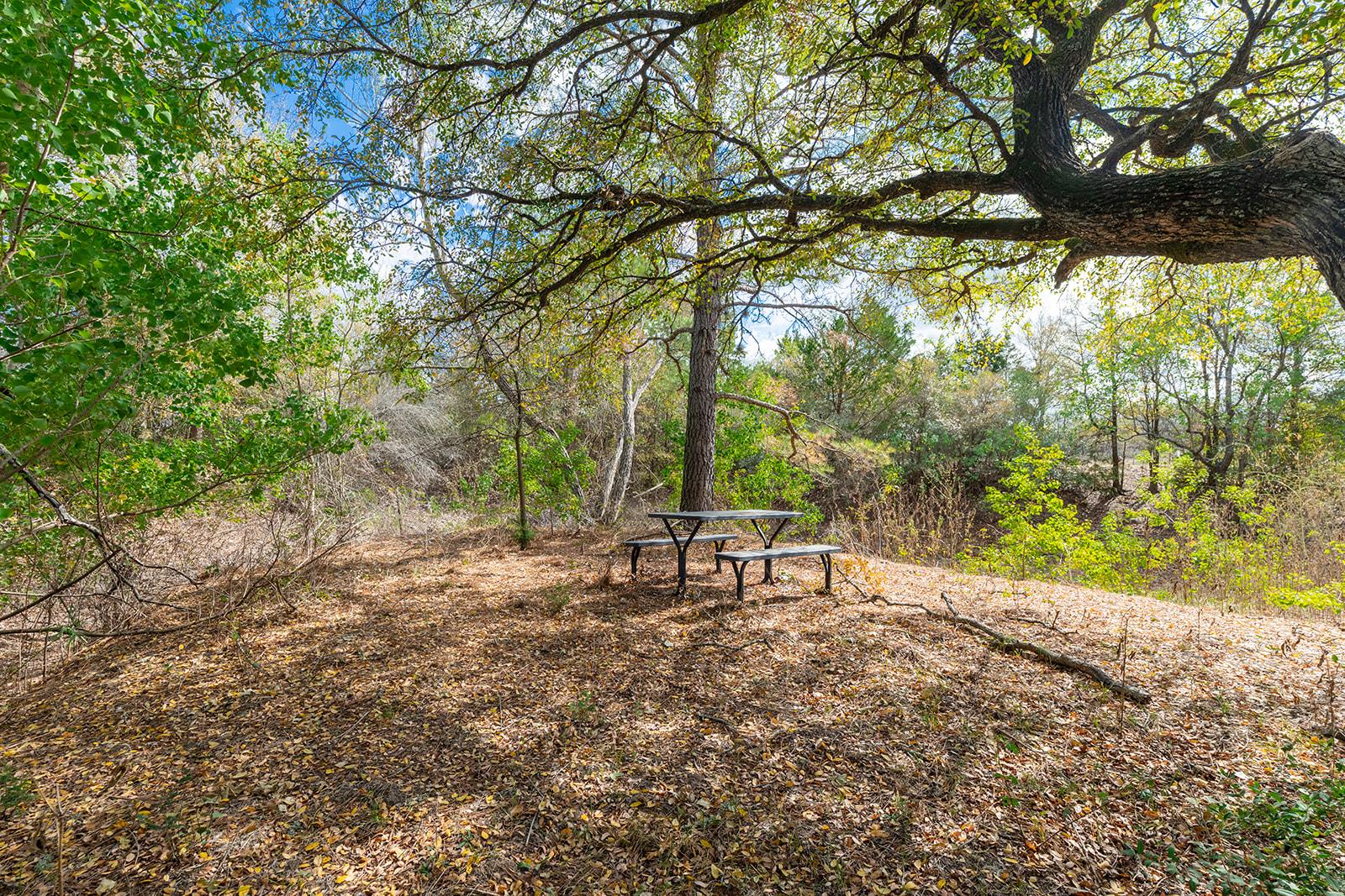 164 Bull Run Rd, Cedar Creek, TX 78612