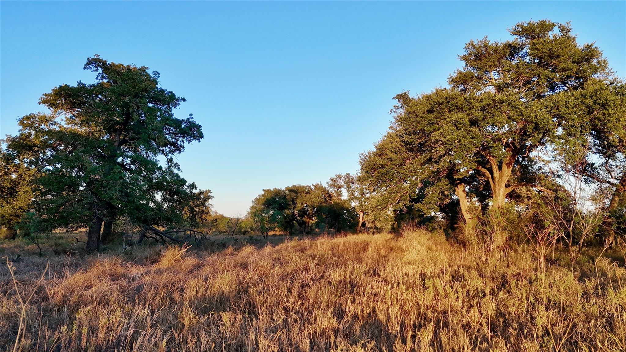 6540 County Road 409, Llano, TX 78643