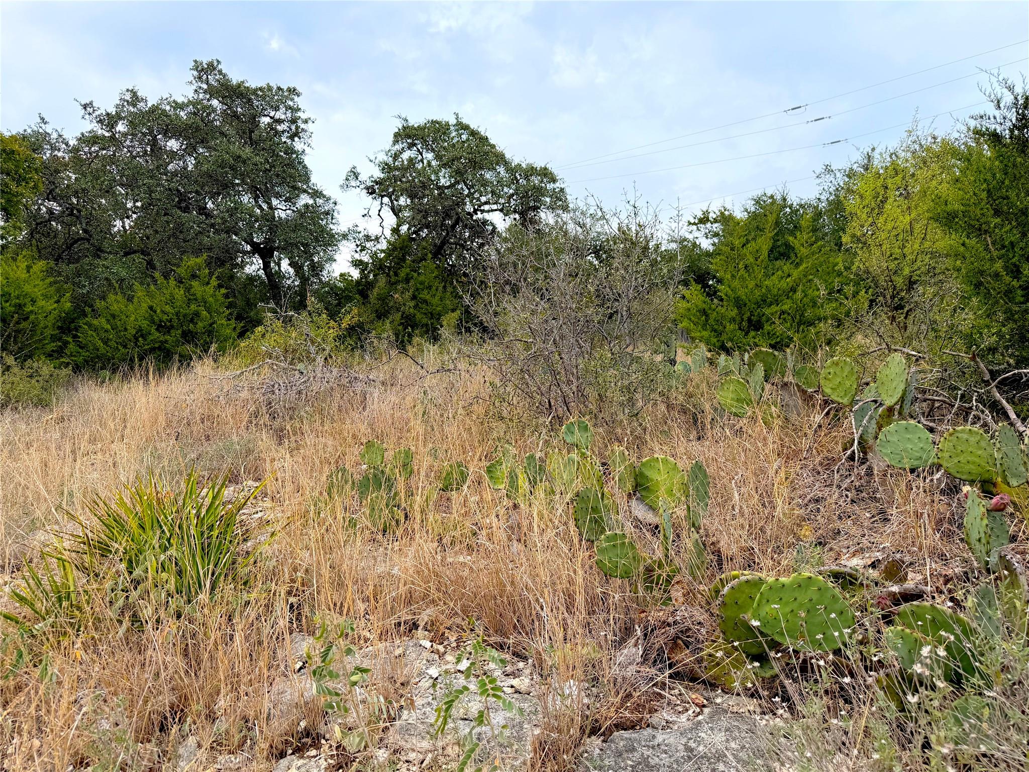 1232 Kings Cove Dr, Canyon Lake, TX 78133