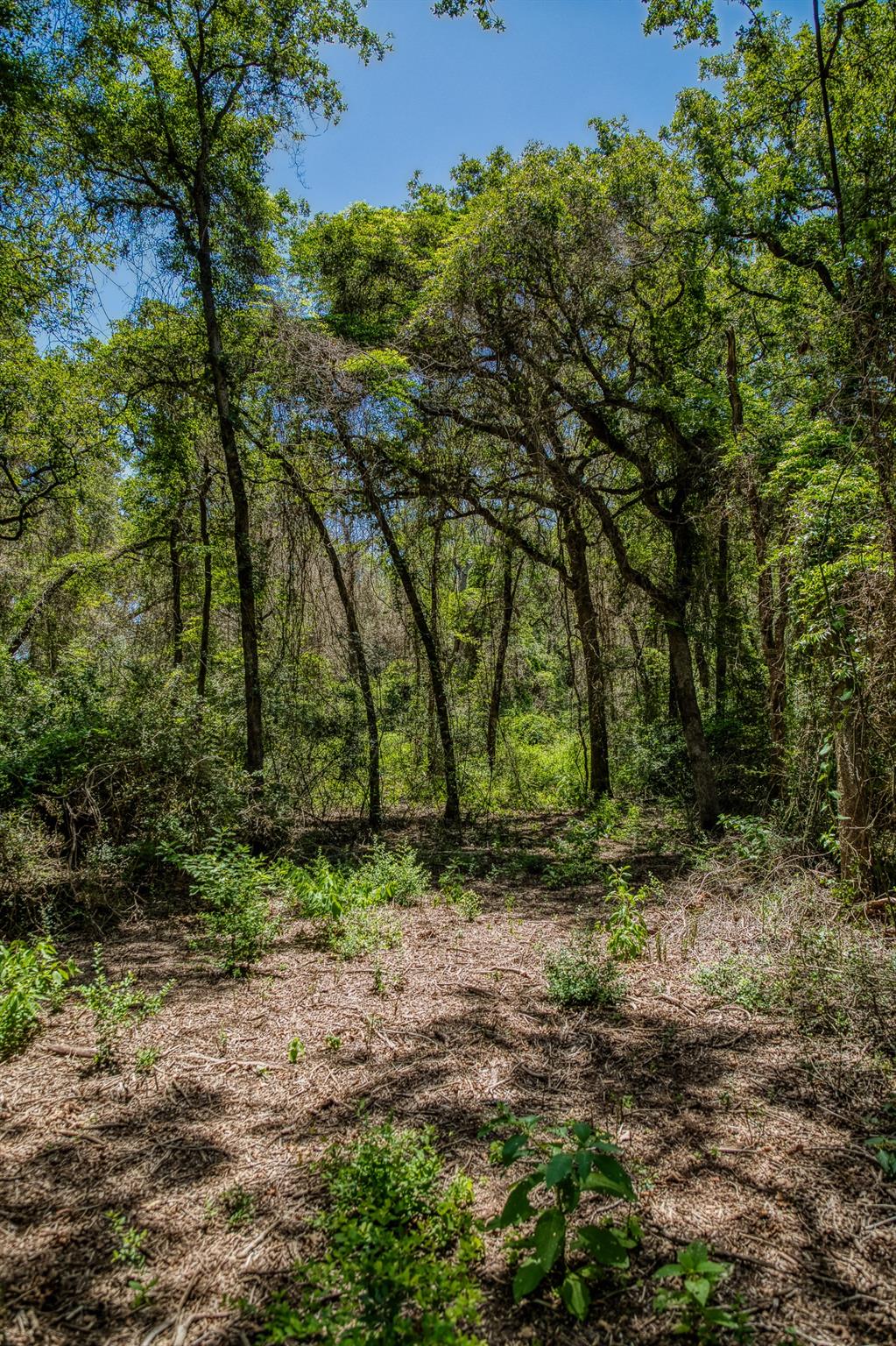 1972 County Road 324, Caldwell, TX 77836