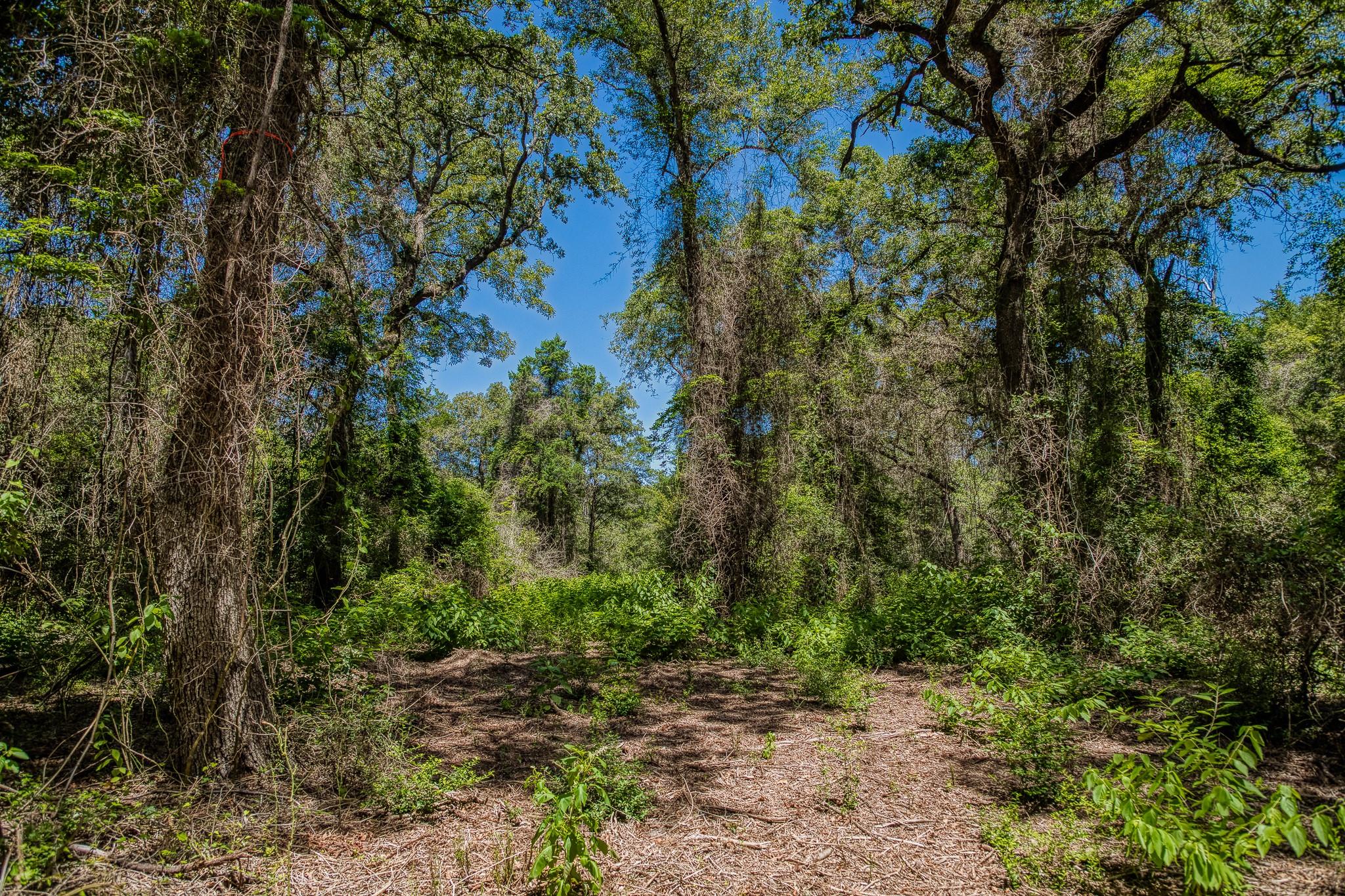 1972 County Road 324, Caldwell, TX 77836