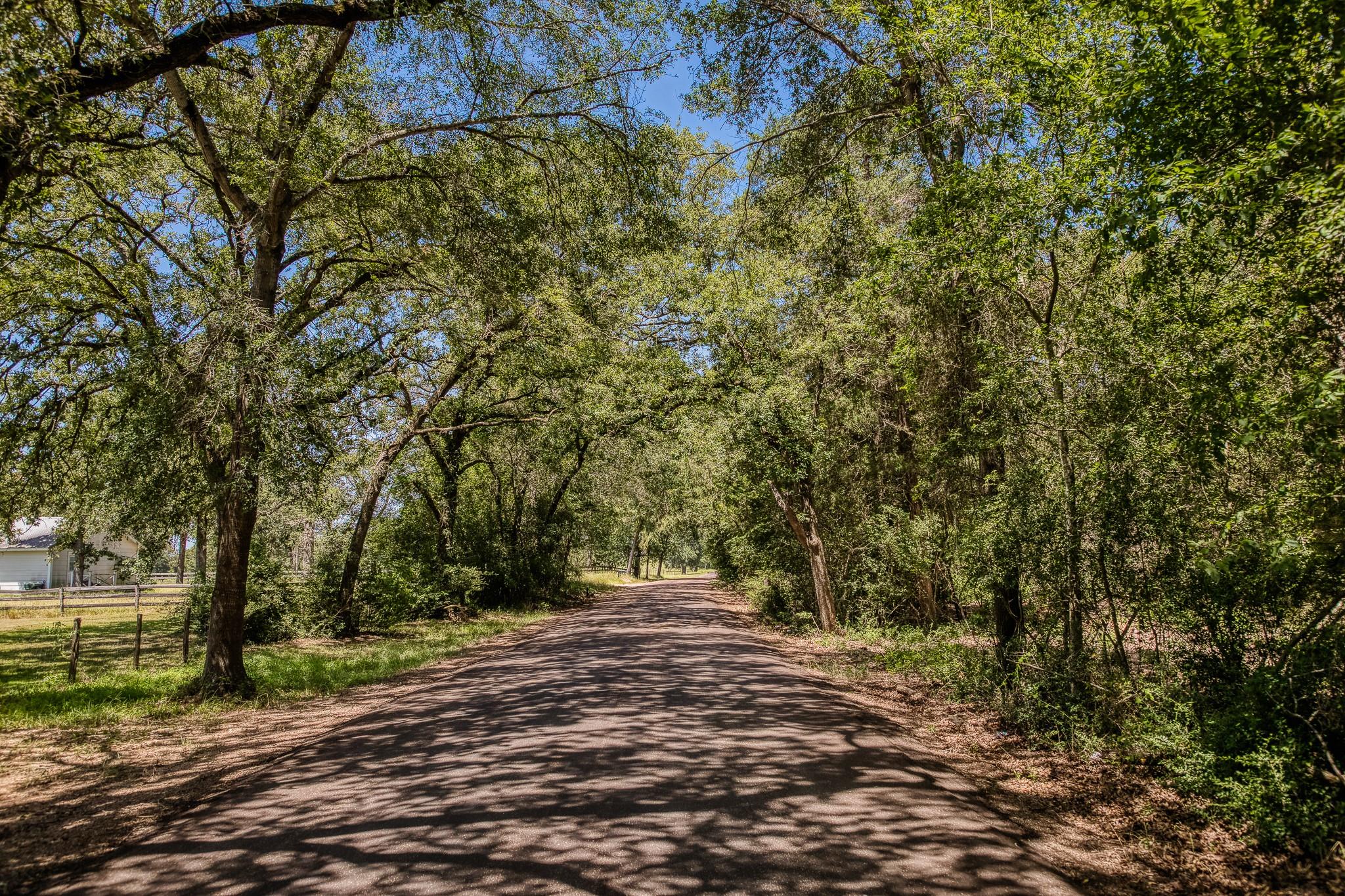 1972 County Road 324, Caldwell, TX 77836