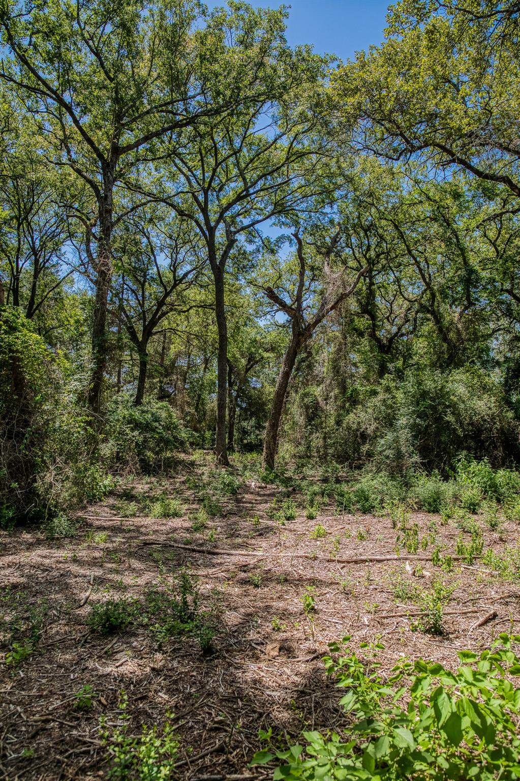 1972 County Road 324, Caldwell, TX 77836