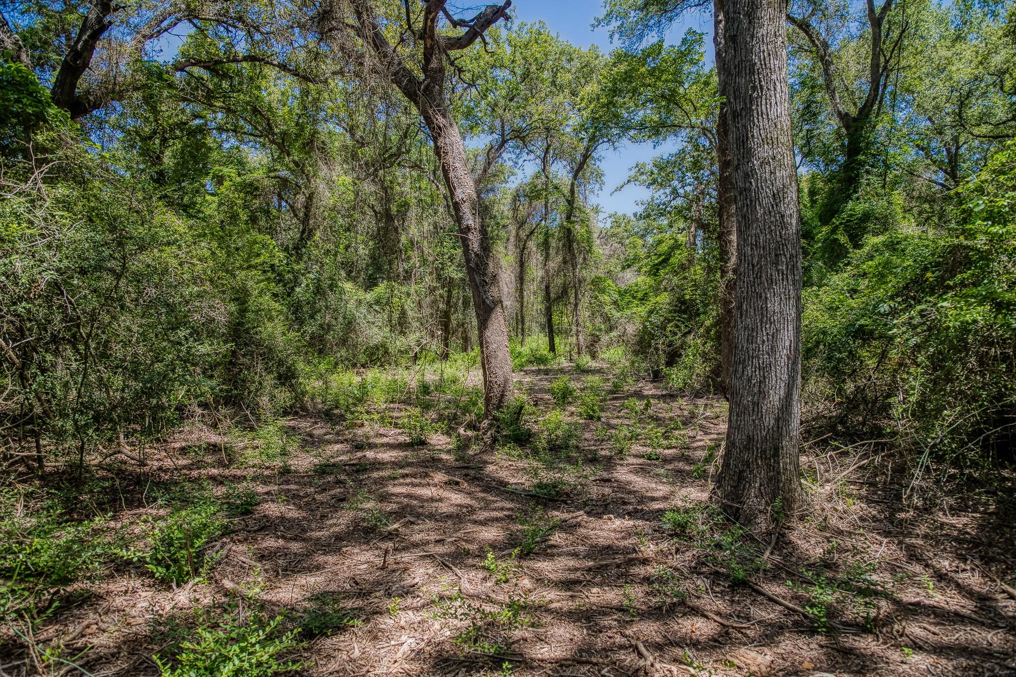 1972 County Road 324, Caldwell, TX 77836