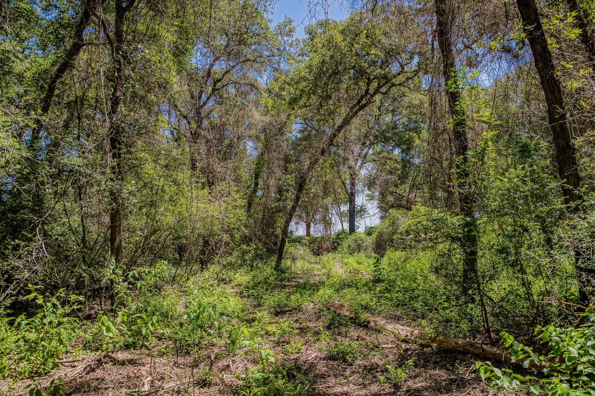 1972 County Road 324, Caldwell, TX 77836