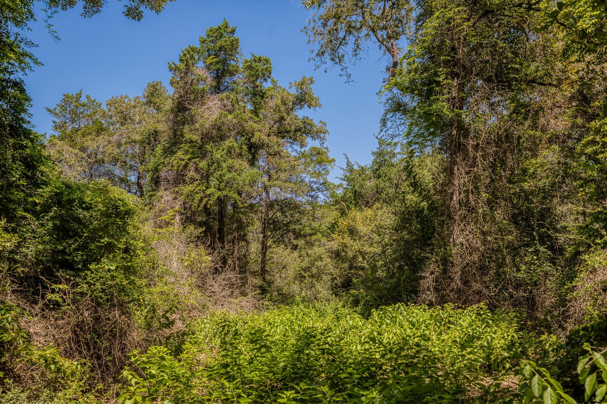 1972 County Road 324, Caldwell, TX 77836