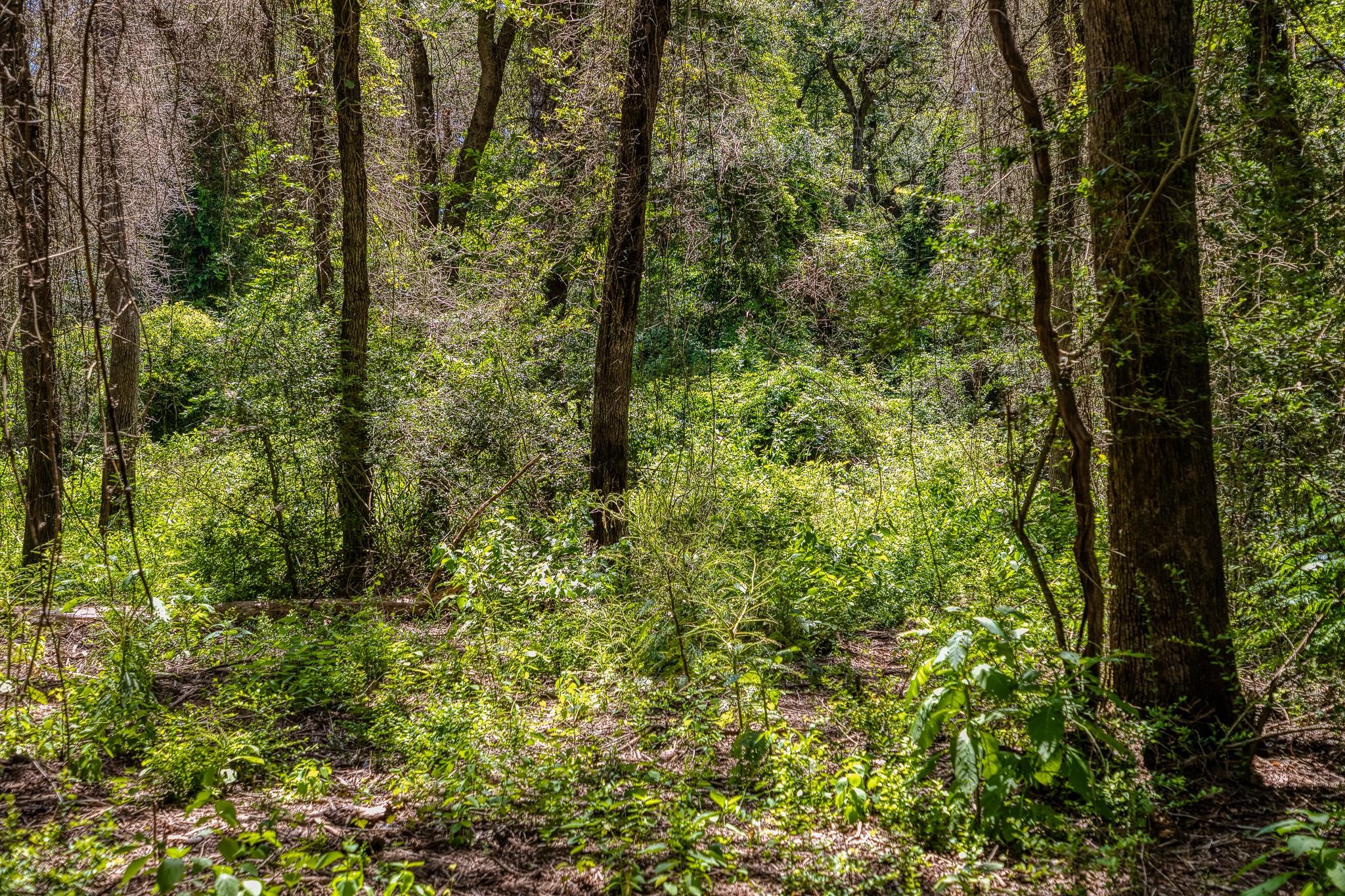 1972 County Road 324, Caldwell, TX 77836