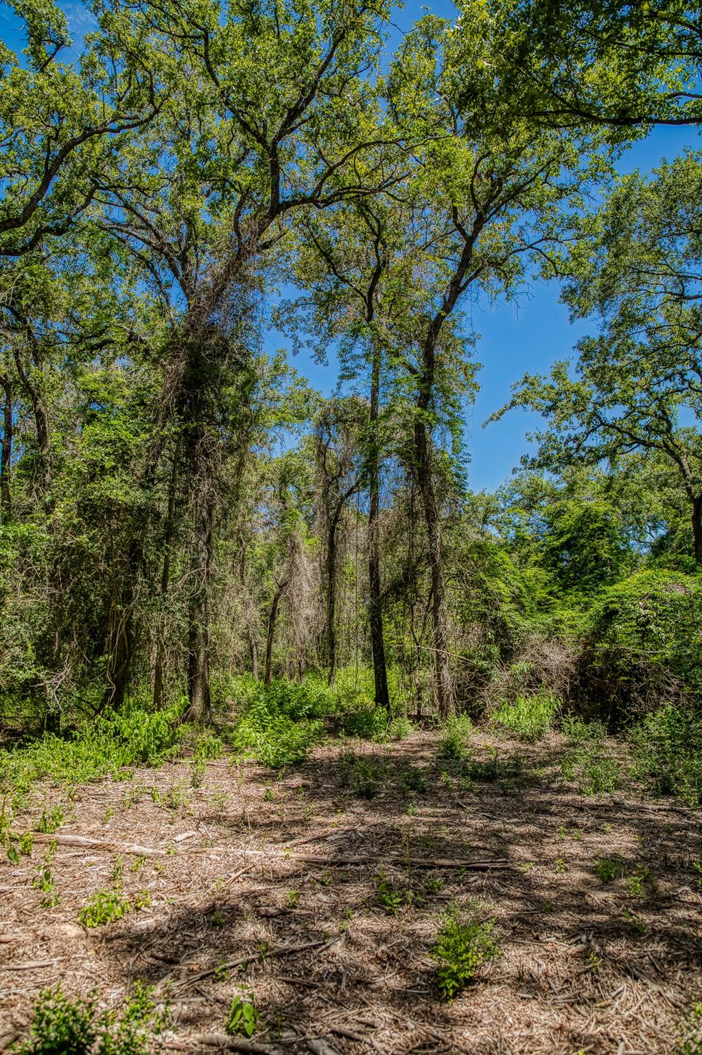 1972 County Road 324, Caldwell, TX 77836