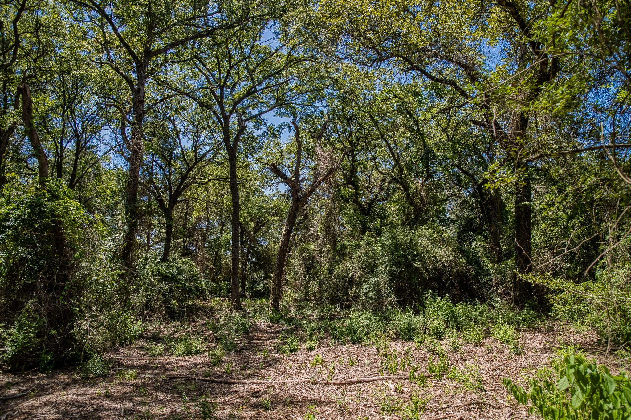 1972 County Road 324, Caldwell, TX 77836
