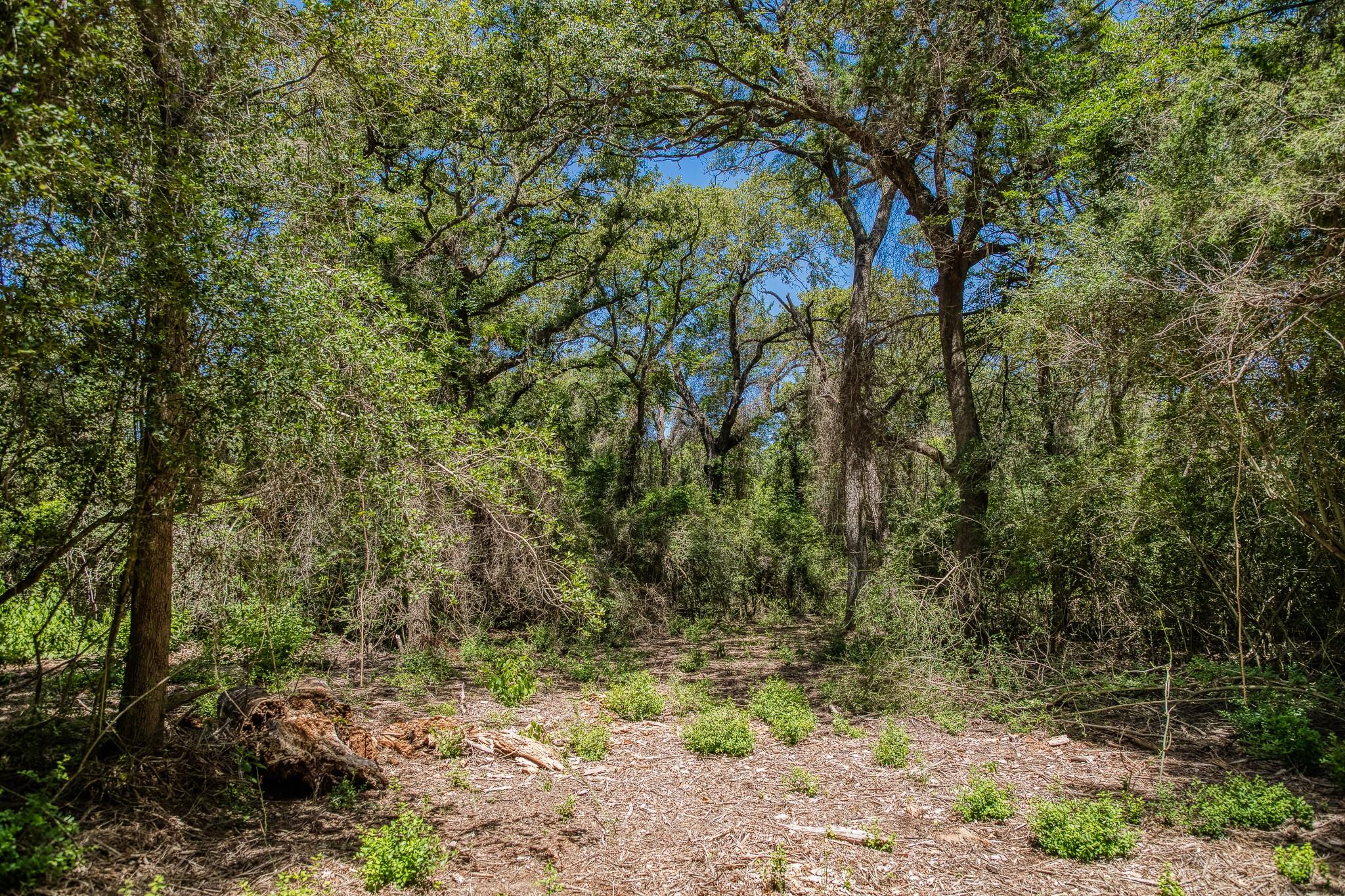 1972 County Road 324, Caldwell, TX 77836