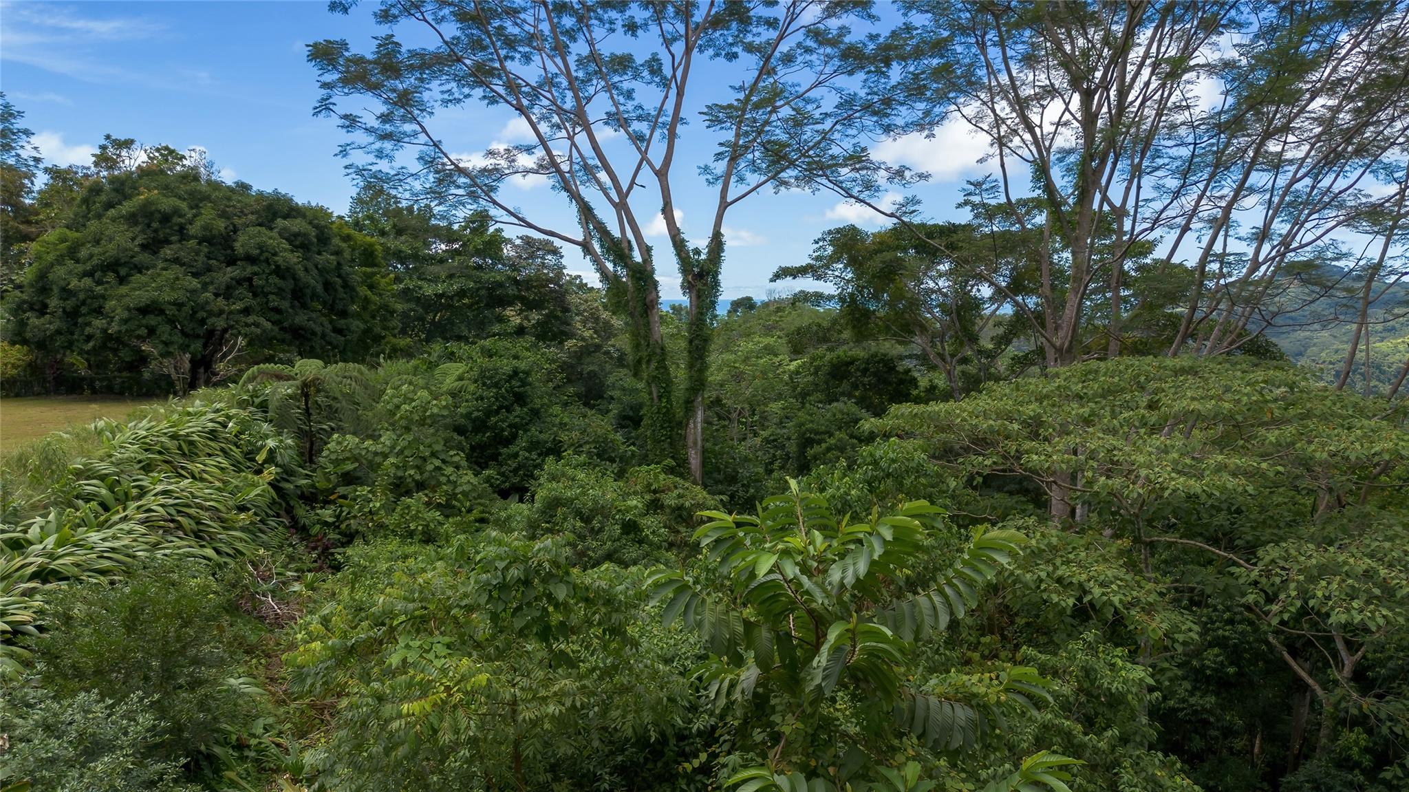 000 Darling home on Acreage, Out of State 60501