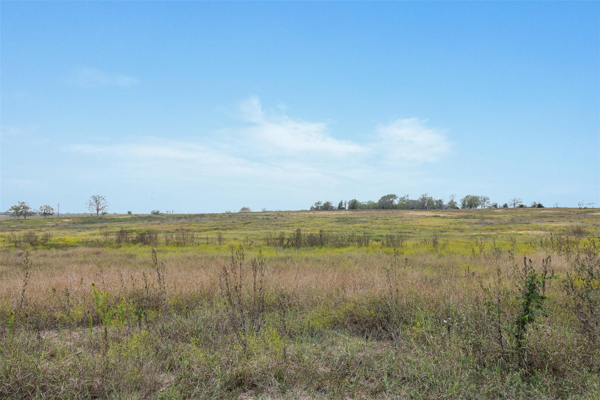 Lot 1 County Road 335, Shiner, TX 77984