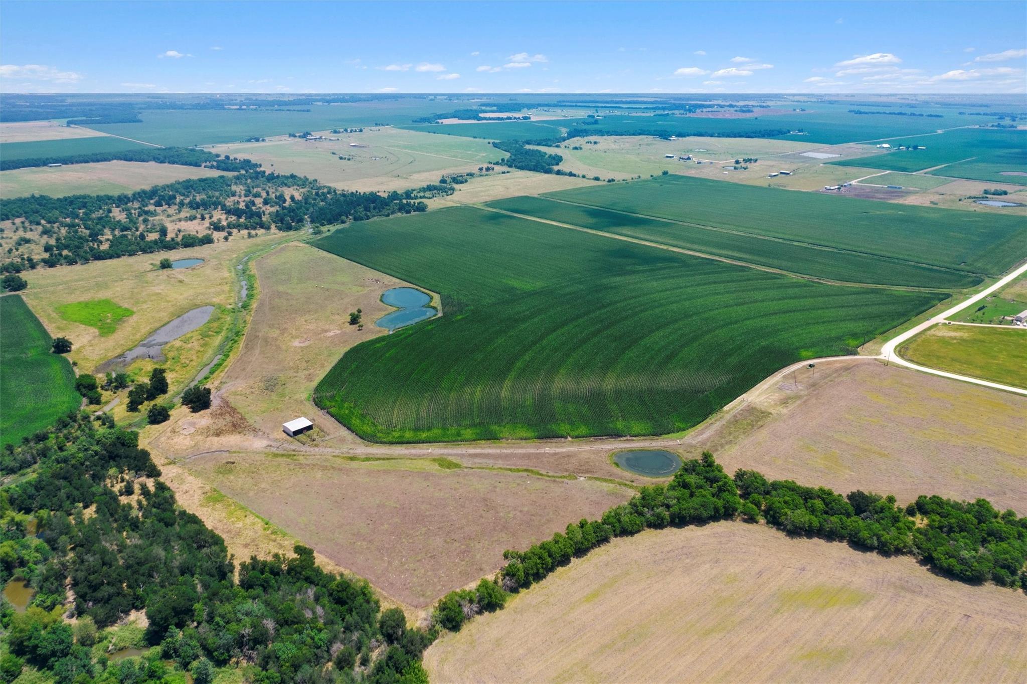 1117 County Road 423, Taylor, TX 76574