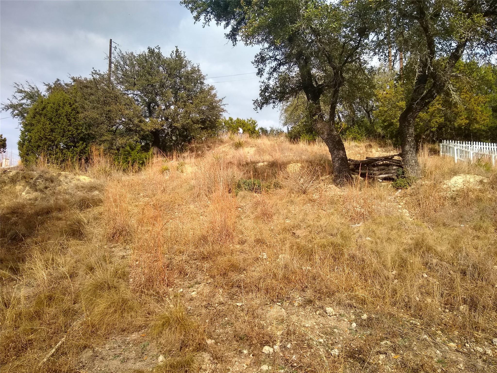 206 Scone Dr, Spicewood, TX 78669