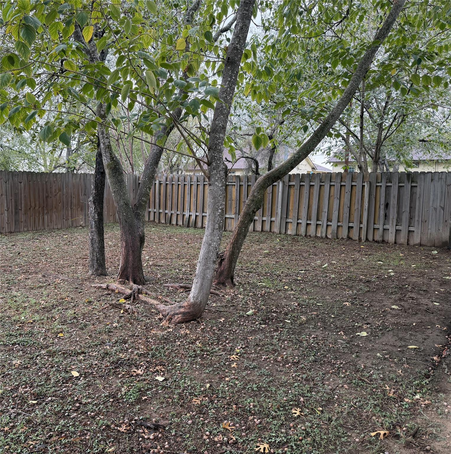 1814 State Highway 95 Highway # A, Bastrop, TX 78602