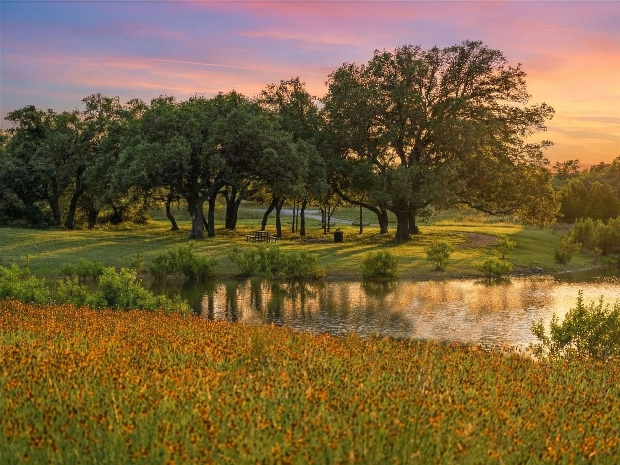 577 Cattle Creek Rd, Johnson City, TX 78636