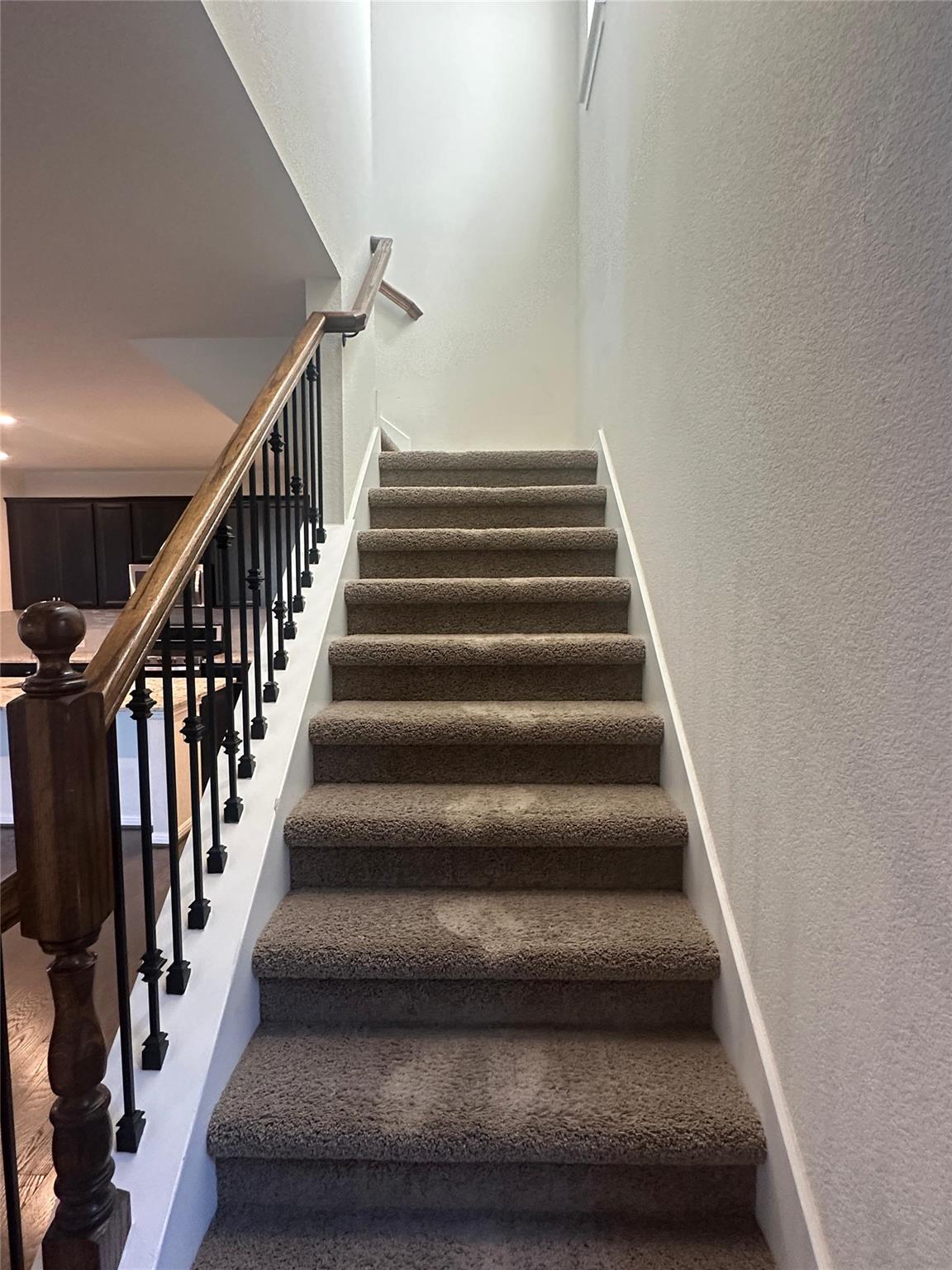 2921 Barbed Wire St, Round Rock, TX 78664