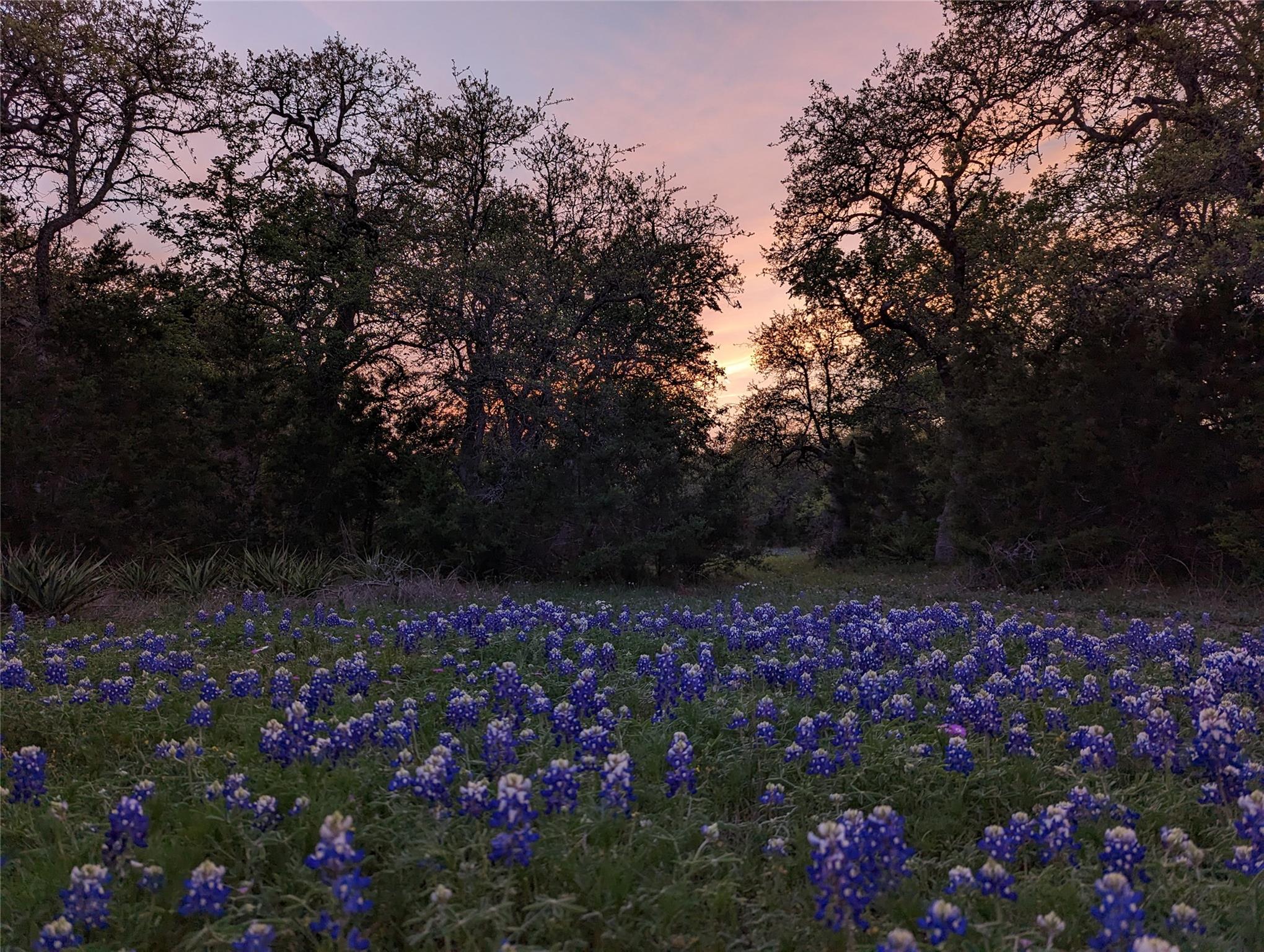 1751 County Road 255, Georgetown, TX 78633