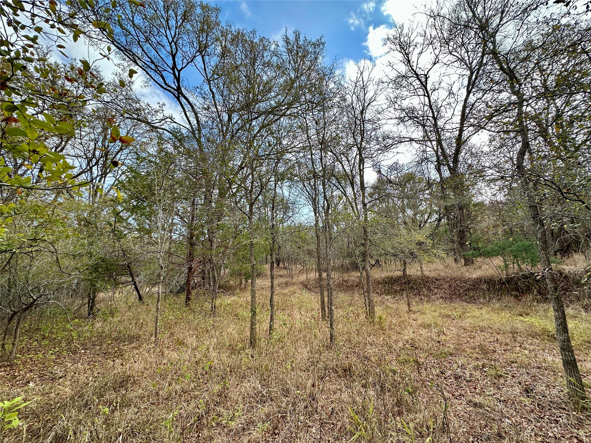 104 E Waiehu Ln, Bastrop, TX 78602