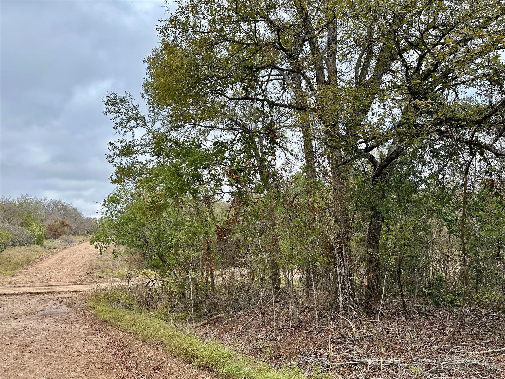 104 E Waiehu Ln, Bastrop, TX 78602