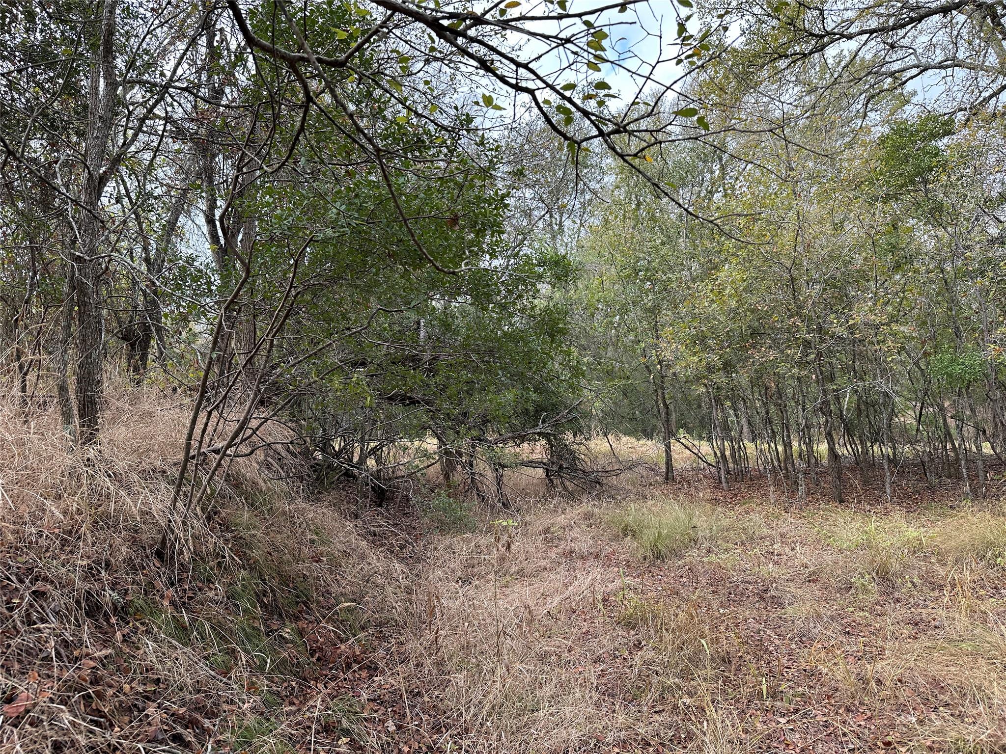 104 E Waiehu Ln, Bastrop, TX 78602