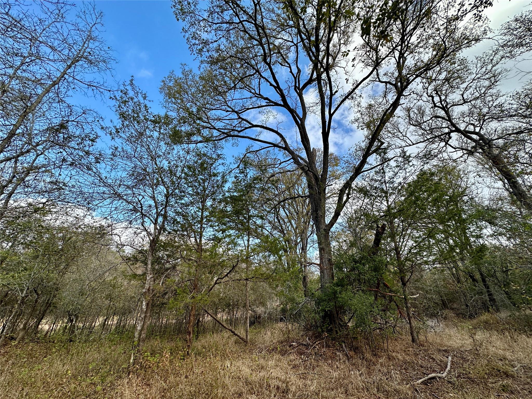 104 E Waiehu Ln, Bastrop, TX 78602