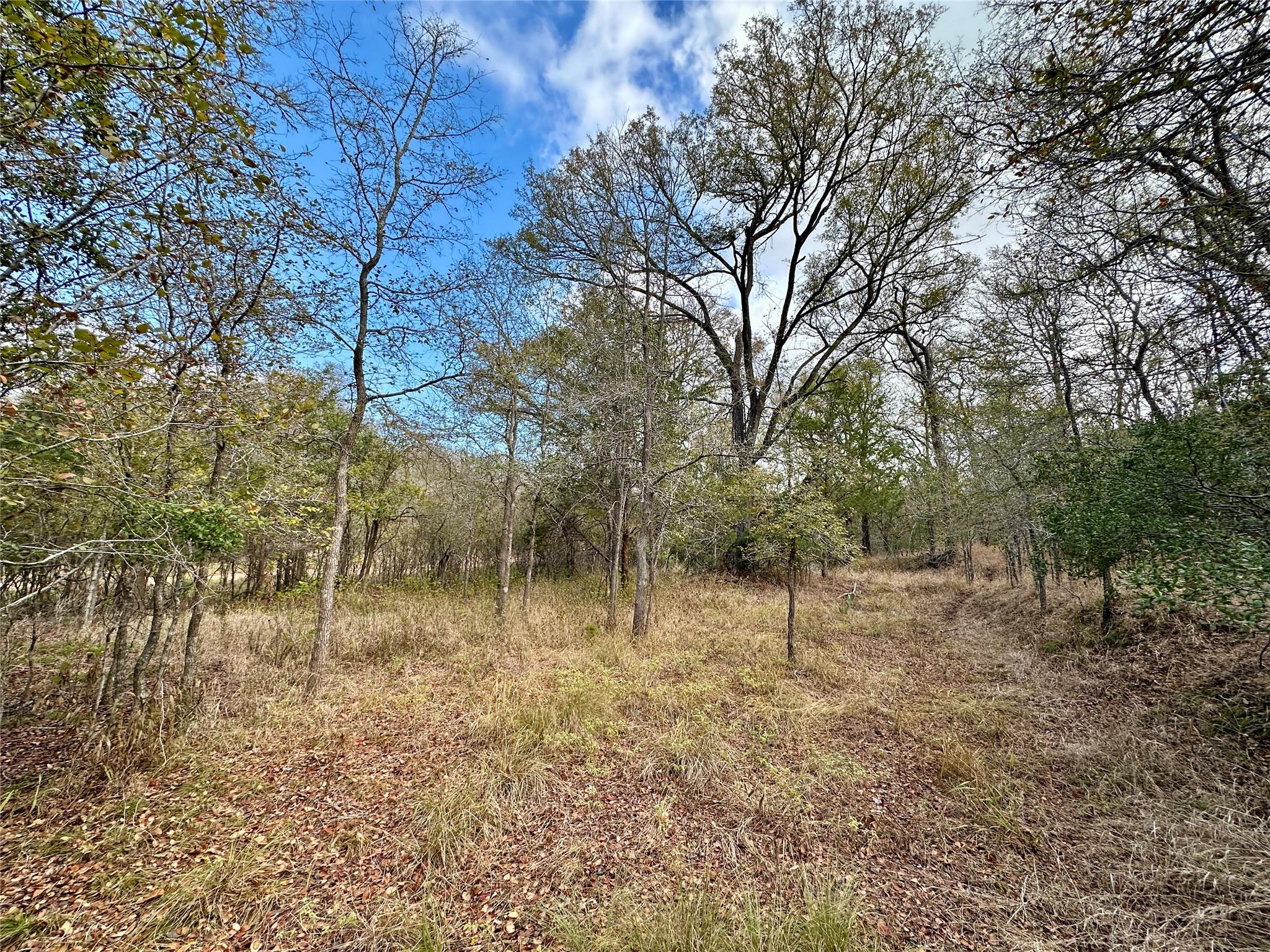 104 E Waiehu Ln, Bastrop, TX 78602