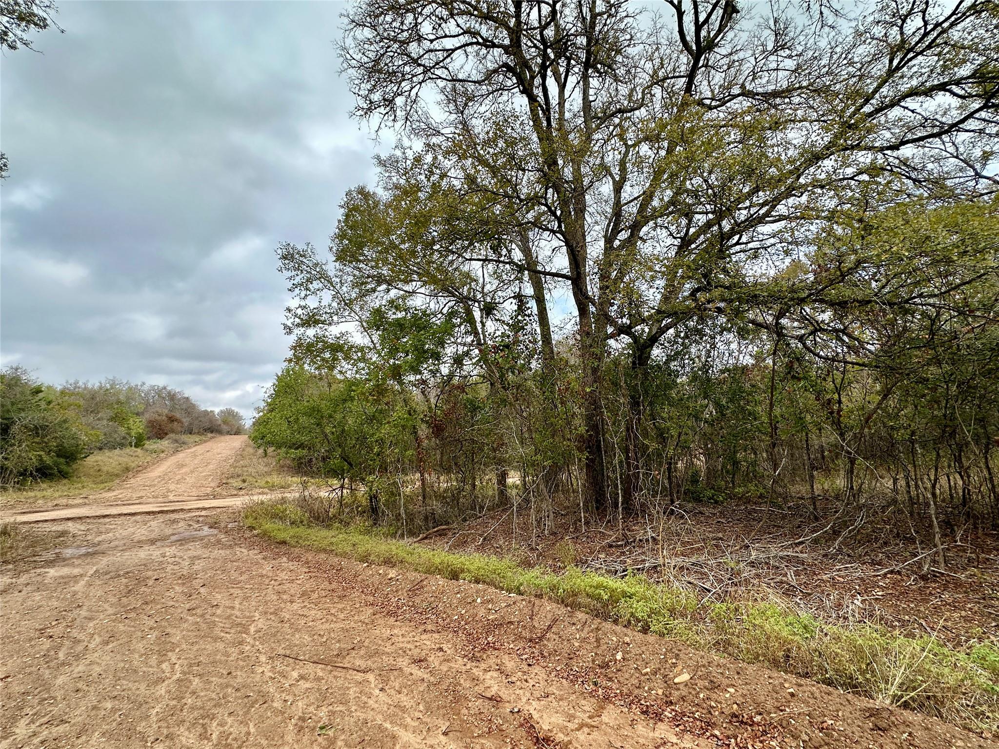 104 E Waiehu Ln, Bastrop, TX 78602