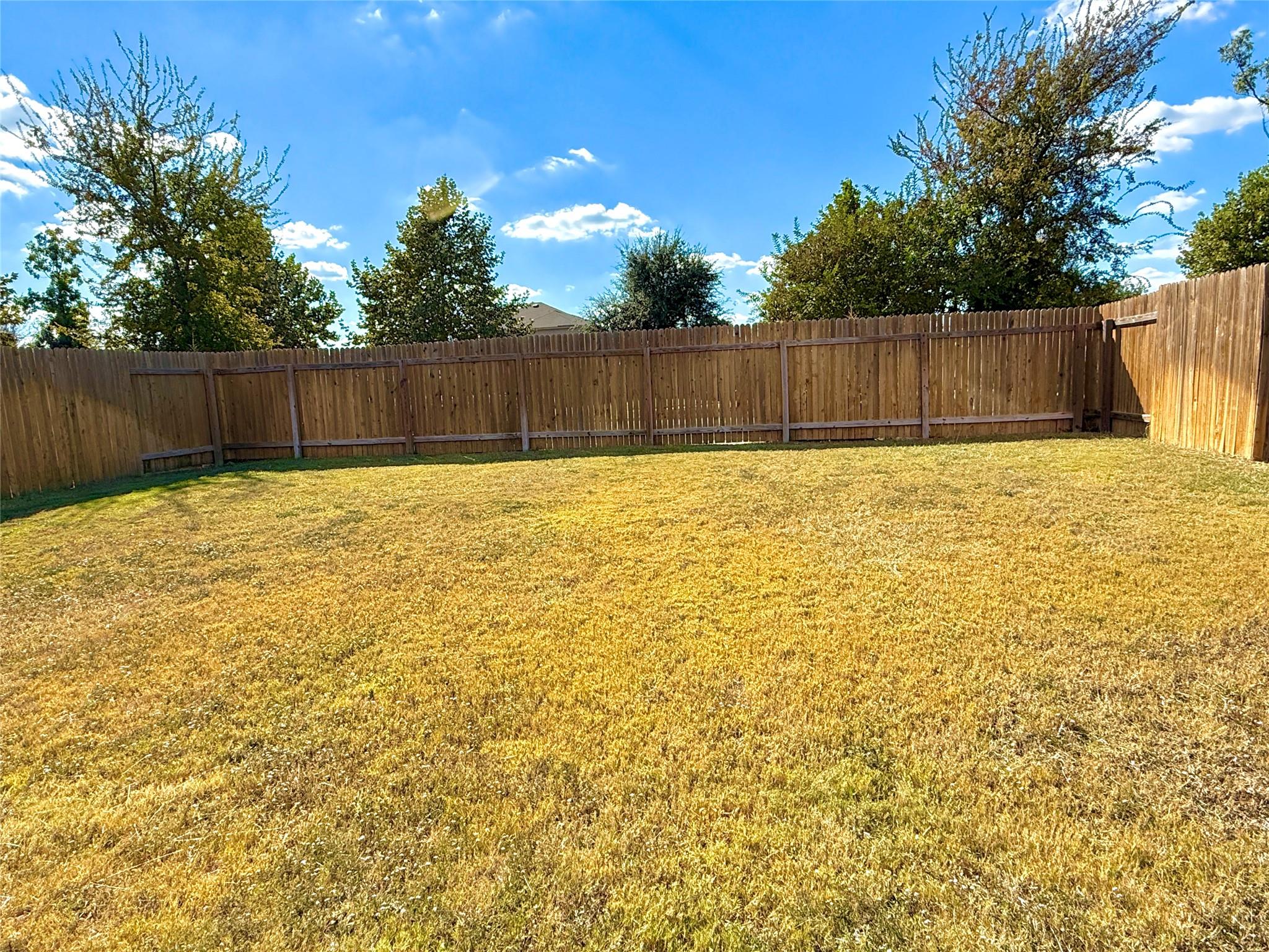 1008 Riverdale Cv, Jarrell, TX 76537