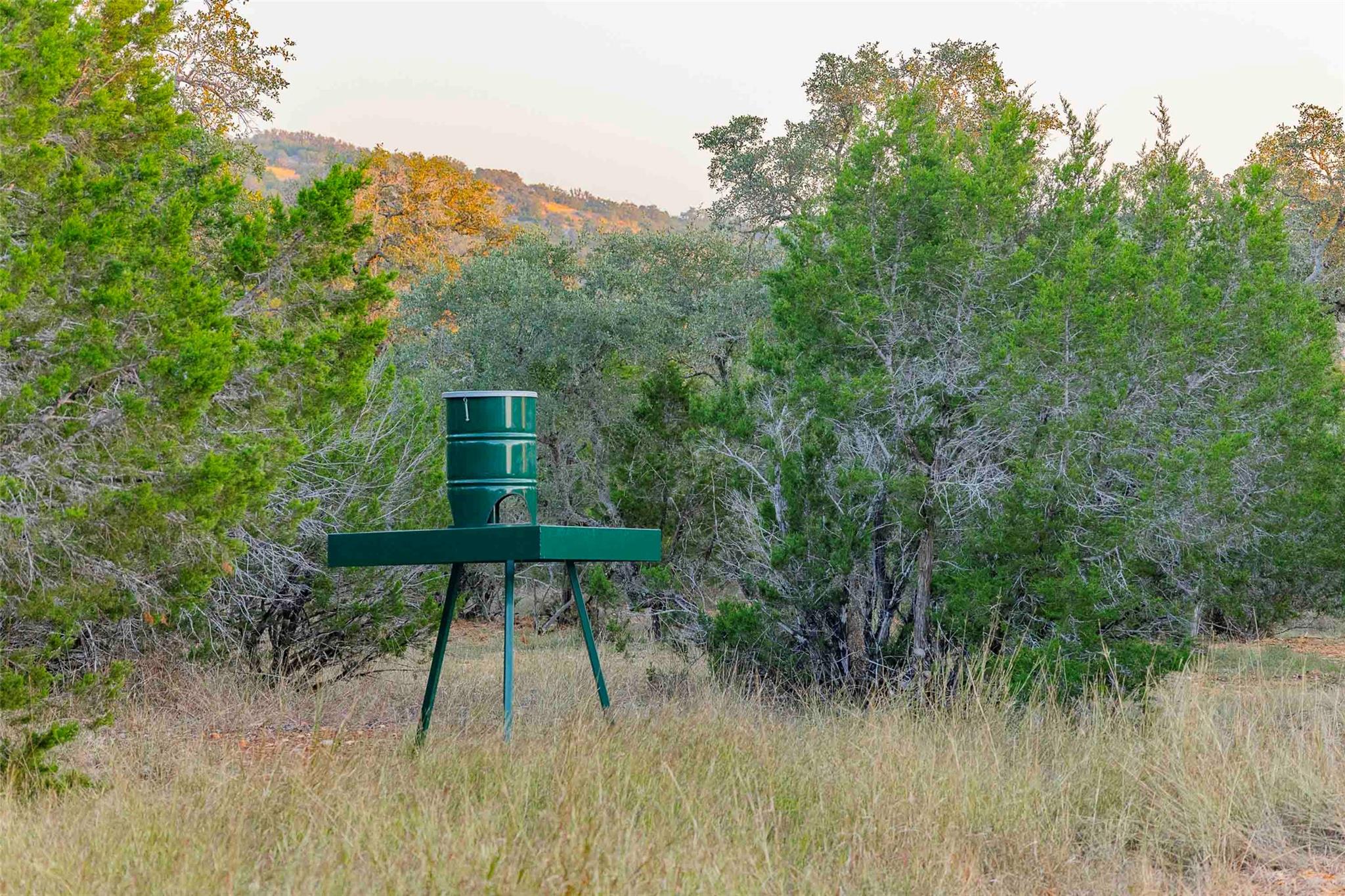 8507 Hammett's Crossing, Round Mountain, TX 78663