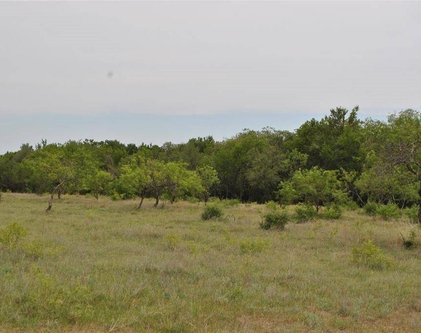 TBD Comanche Hills Dr. Dr, Comanche, TX 76442