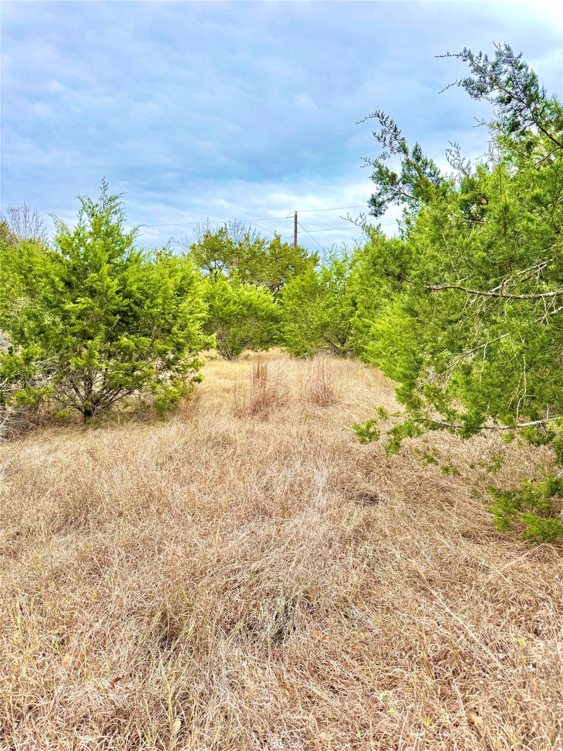 422 Eagle Ln, Fischer, TX 78623