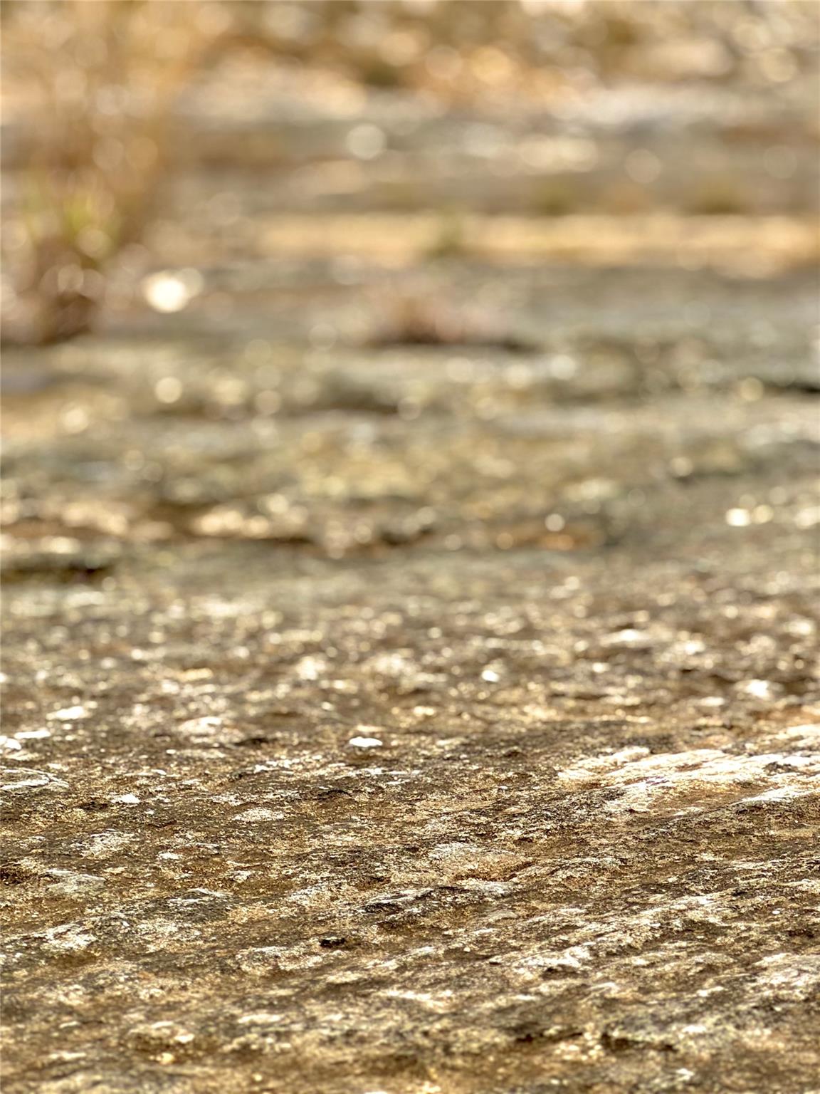 422 Eagle Ln, Fischer, TX 78623