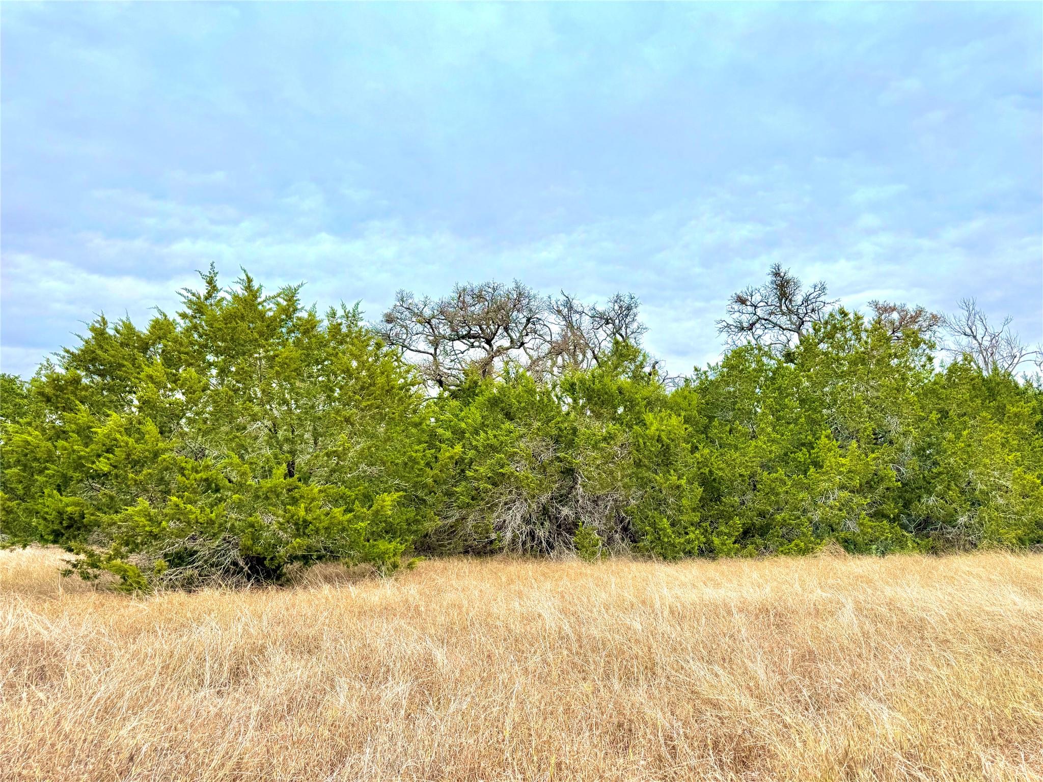 422 Eagle Ln, Fischer, TX 78623