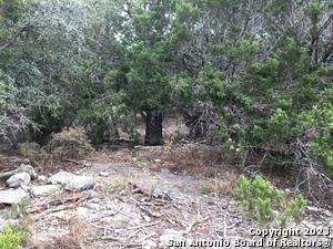 0 Fawn River Dr, Spring Branch, TX 78070