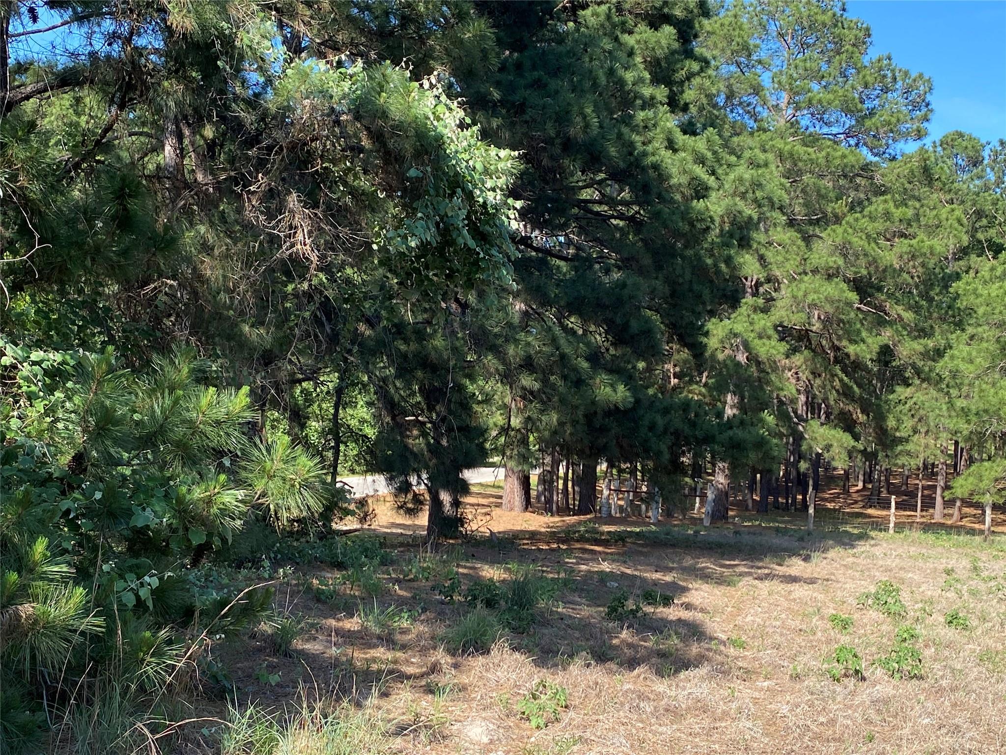 147 Oak Leaf Dr, Bastrop, TX 78602