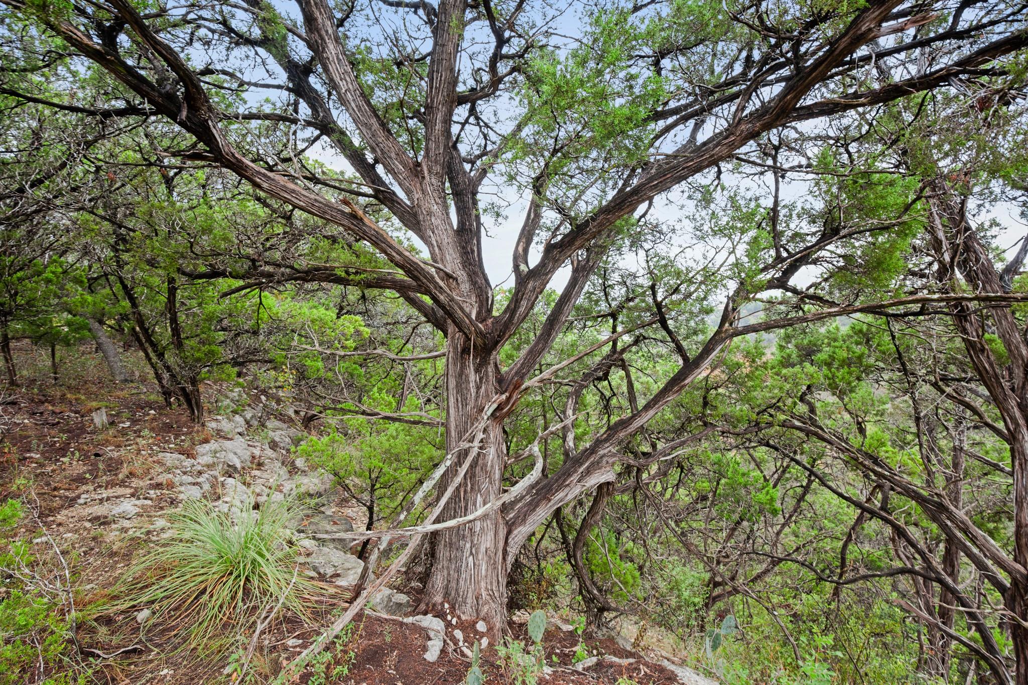 18211 Gregg Bluff Rd, Jonestown, TX 78645