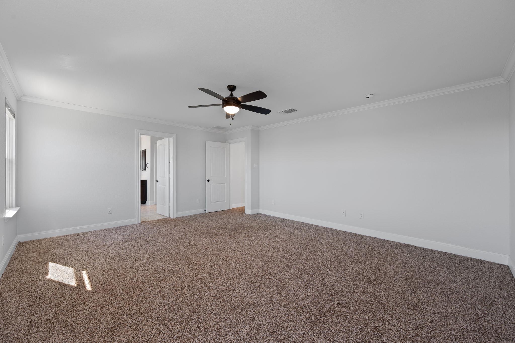 136 Danablu Dr, Hutto, TX 78634