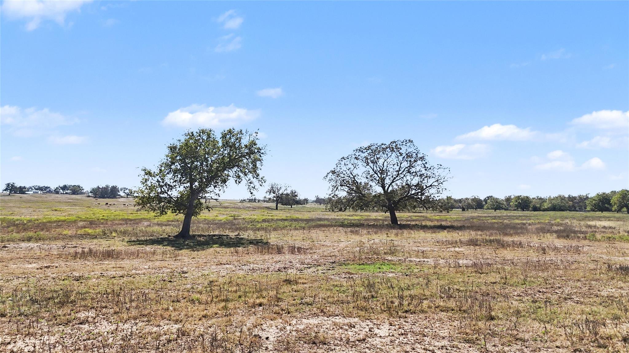 Tract 1 FM 3158, Dale, TX 78616