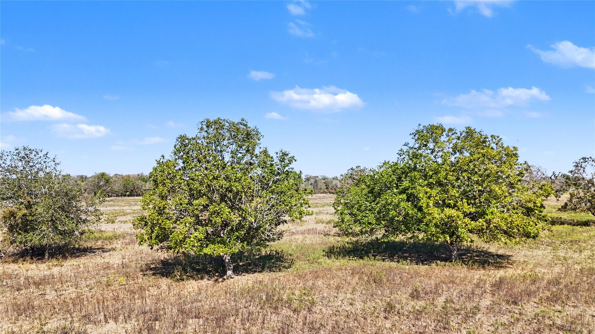 Tract 1 FM 3158, Dale, TX 78616