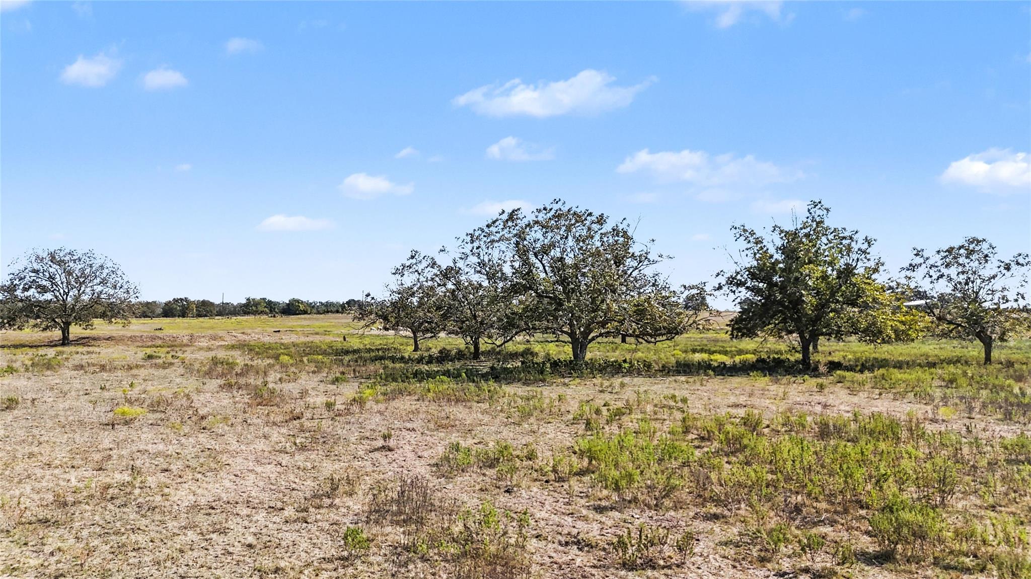 Tract 1 FM 3158, Dale, TX 78616