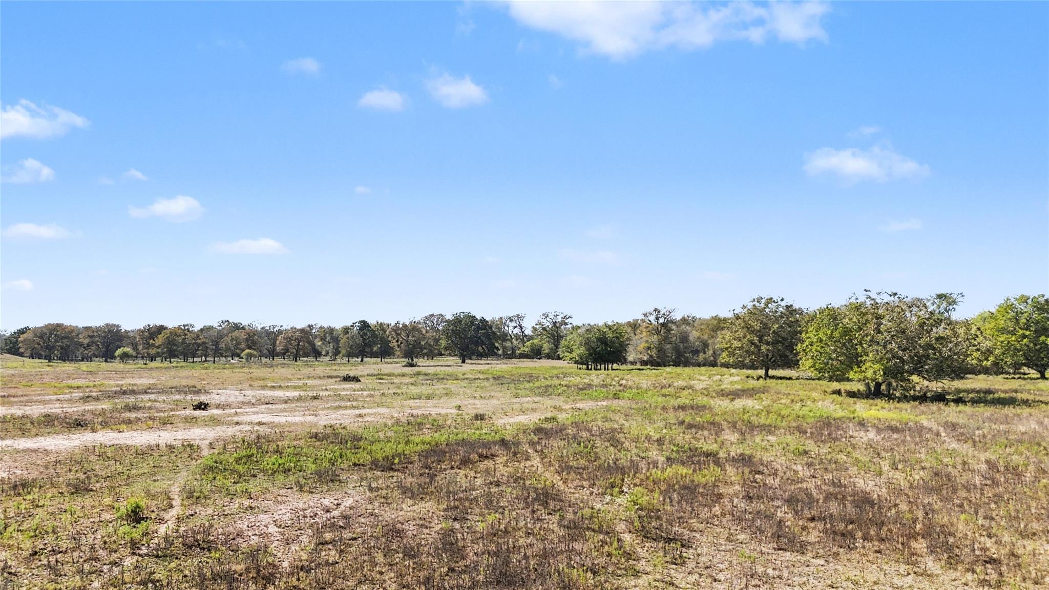 Tract 1 FM 3158, Dale, TX 78616