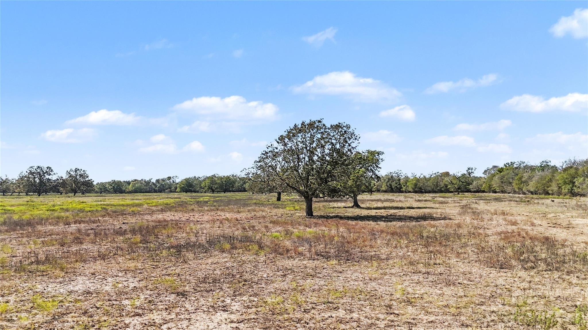 Tract 1 FM 3158, Dale, TX 78616