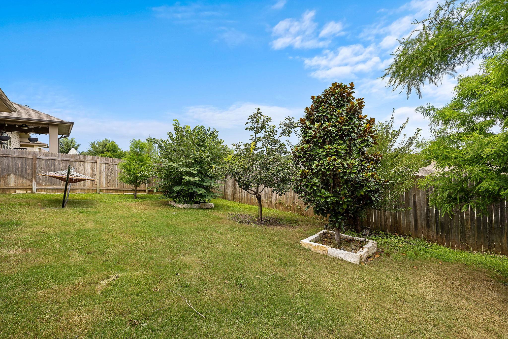 163 Mount Ellen St, Hutto, TX 78634