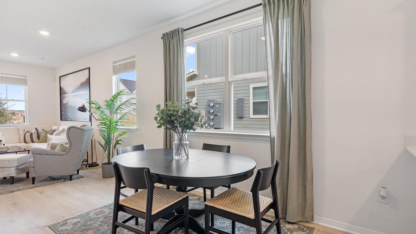 2521 Ophelia Levi Ln, Round Rock, TX 78665