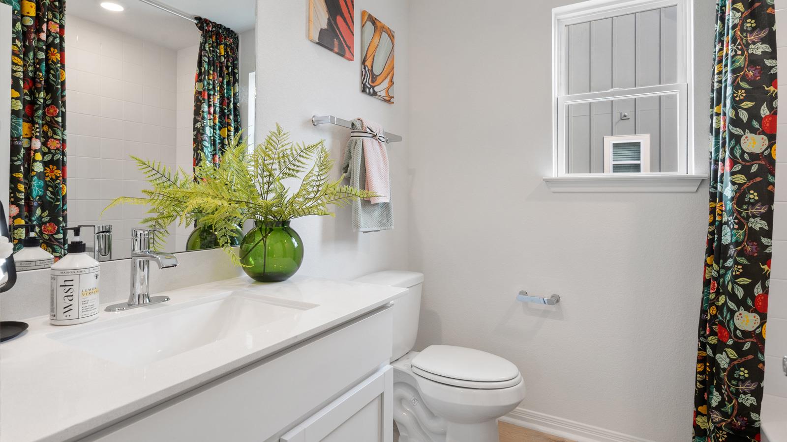 2521 Ophelia Levi Ln, Round Rock, TX 78665