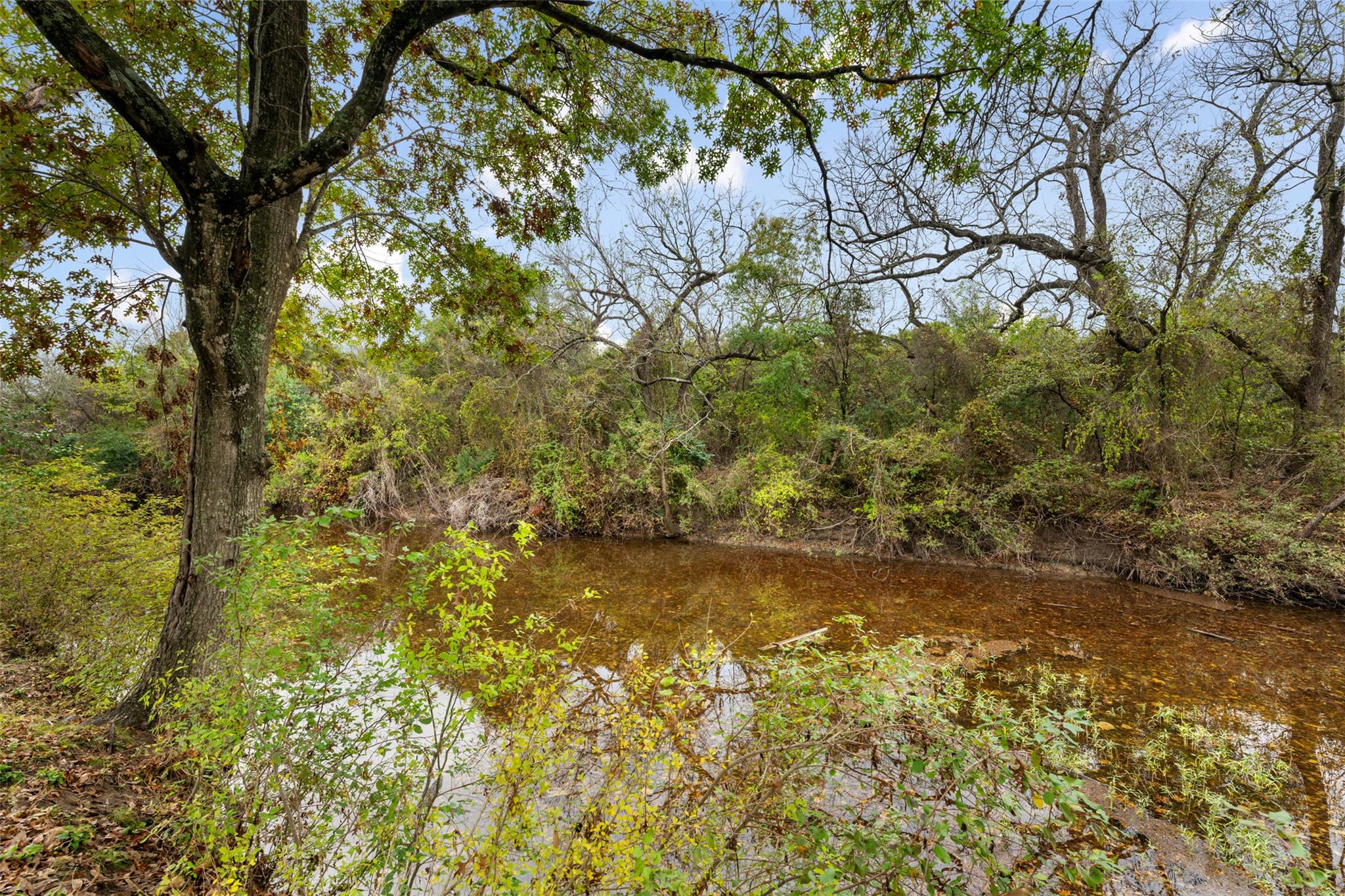 50 S Bear Creek Rd, Liberty Hill, TX 78642