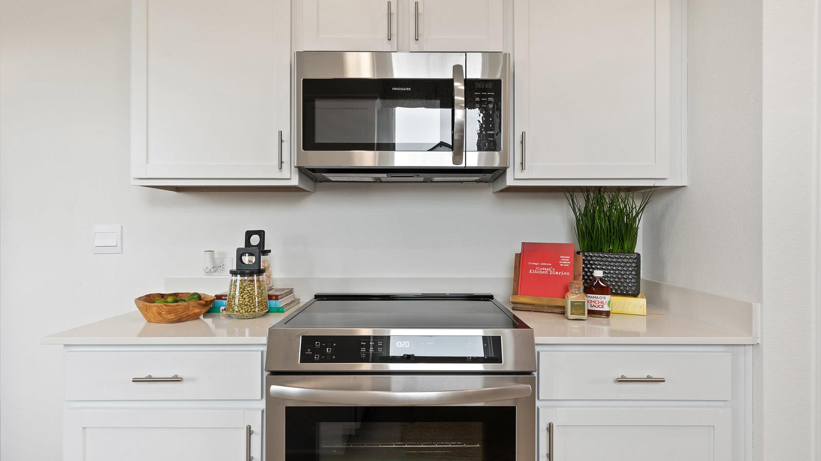 2515 Ophelia Levi Ln, Round Rock, TX 78665